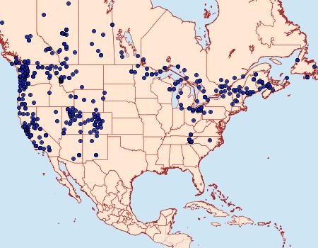 Distribution Data for Lophocampa maculata