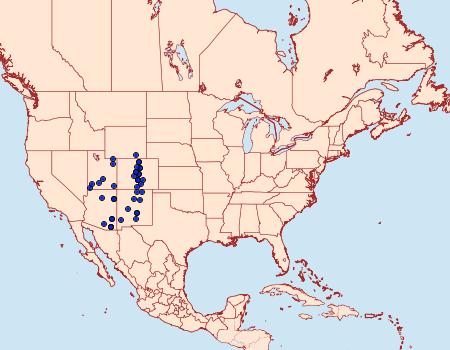 Distribution Data for Pseudohemihyalea ambigua