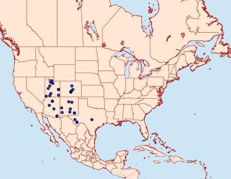 Distribution Data for Pseudohemihyalea labecula