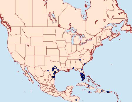 Distribution Data for Pareuchaetes insulata