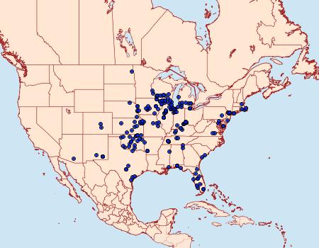 Distribution Data for Cycnia collaris