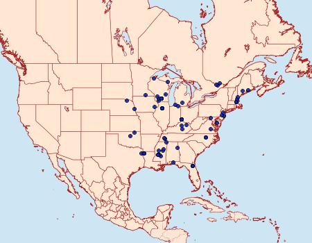 Distribution Data for Cameraria hamadryadella