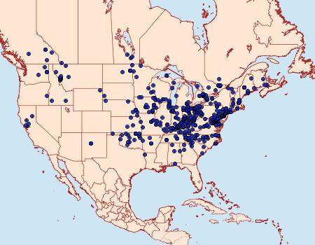 Distribution Data for Cycnia tenera