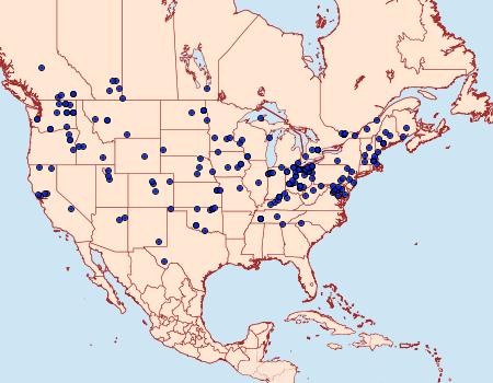 Distribution Data for Cycnia oregonensis