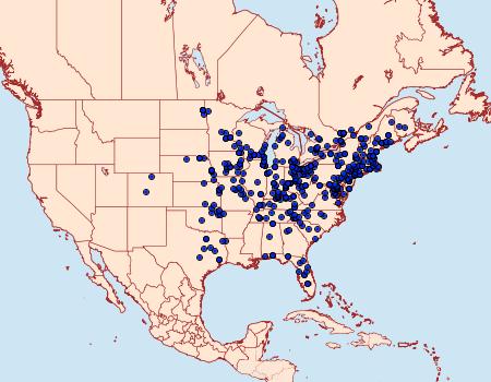 Distribution Data for Euchaetes egle