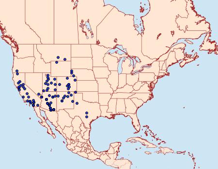 Distribution Data for Ectypia clio