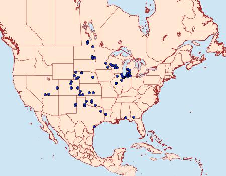 Distribution Data for Pygarctia spraguei