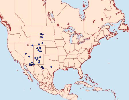 Distribution Data for Bertholdia trigona