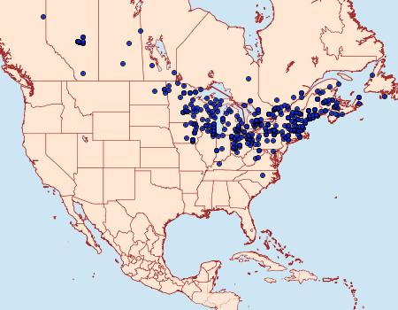 Distribution Data for Ctenucha virginica