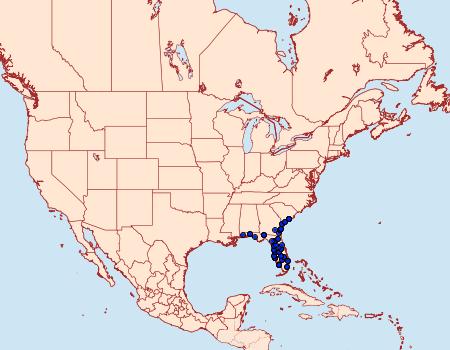 Distribution Data for Dahana atripennis