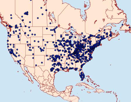 Distribution Data for Cisseps fulvicollis