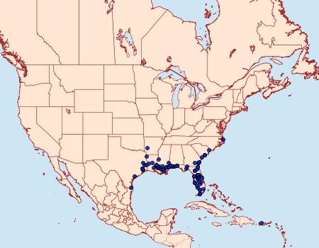 Distribution Data for Cosmosoma myrodora