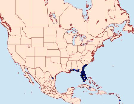 Distribution Data for Syntomeida epilais