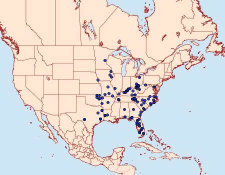 Distribution Data for Dasychira tephra