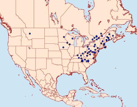 Distribution Data for Dasychira dorsipennata