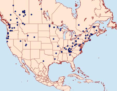 Distribution Data for Dasychira vagans