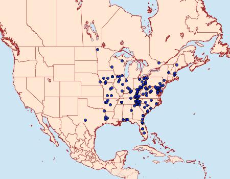 Distribution Data for Dasychira basiflava