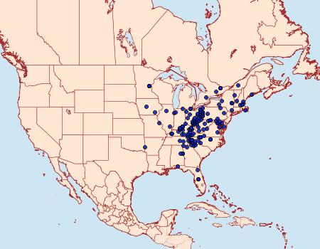 Distribution Data for Dasychira obliquata