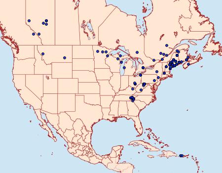 Distribution Data for Dasychira plagiata