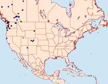 Distribution Data for Dasychira grisefacta