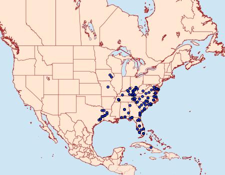 Distribution Data for Dasychira manto