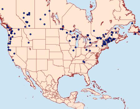 Distribution Data for Orgyia antiqua