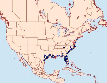 Distribution Data for Orgyia detrita