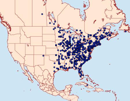 Distribution Data for Orgyia leucostigma