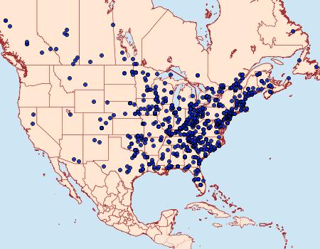 Distribution Data for Idia aemula