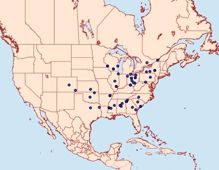 Distribution Data for Idia majoralis