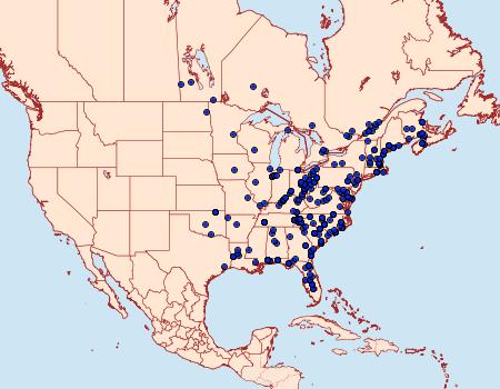 Distribution Data for Idia rotundalis