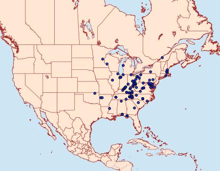 Distribution Data for Idia forbesii