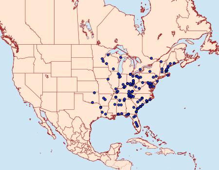 Distribution Data for Idia diminuendis