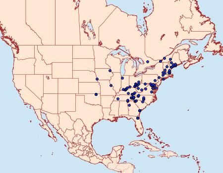 Distribution Data for Idia scobialis