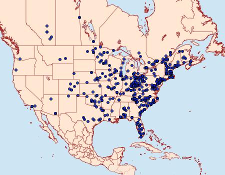 Distribution Data for Idia lubricalis