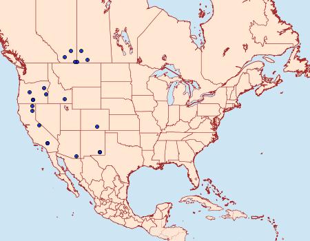 Distribution Data for Idia immaculalis