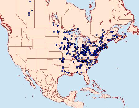 Distribution Data for Phalaenophana pyramusalis