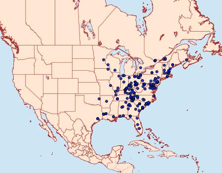 Distribution Data for Zanclognatha lituralis