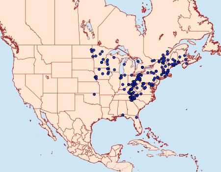 Distribution Data for Zanclognatha laevigata