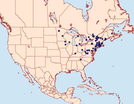 Distribution Data for Zanclognatha dentata