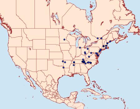 Distribution Data for Zanclognatha martha