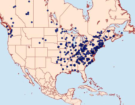 Distribution Data for Chytolita morbidalis