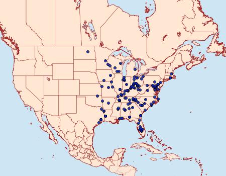 Distribution Data for Macrochilo hypocritalis