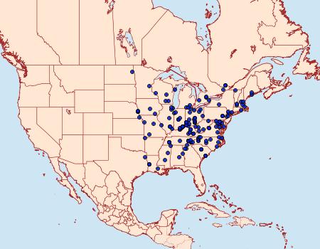 Distribution Data for Macrochilo litophora