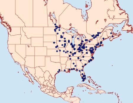 Distribution Data for Macrochilo orciferalis