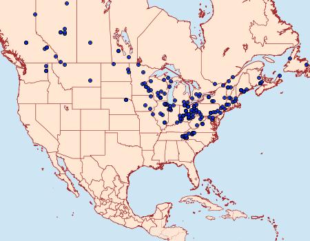 Distribution Data for Phalaenostola metonalis