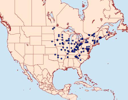 Distribution Data for Phalaenostola eumelusalis