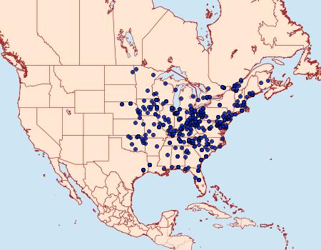 Distribution Data for Phalaenostola larentioides