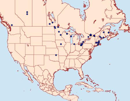 Distribution Data for Phalaenostola hanhami