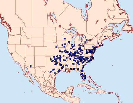 Distribution Data for Tetanolita mynesalis